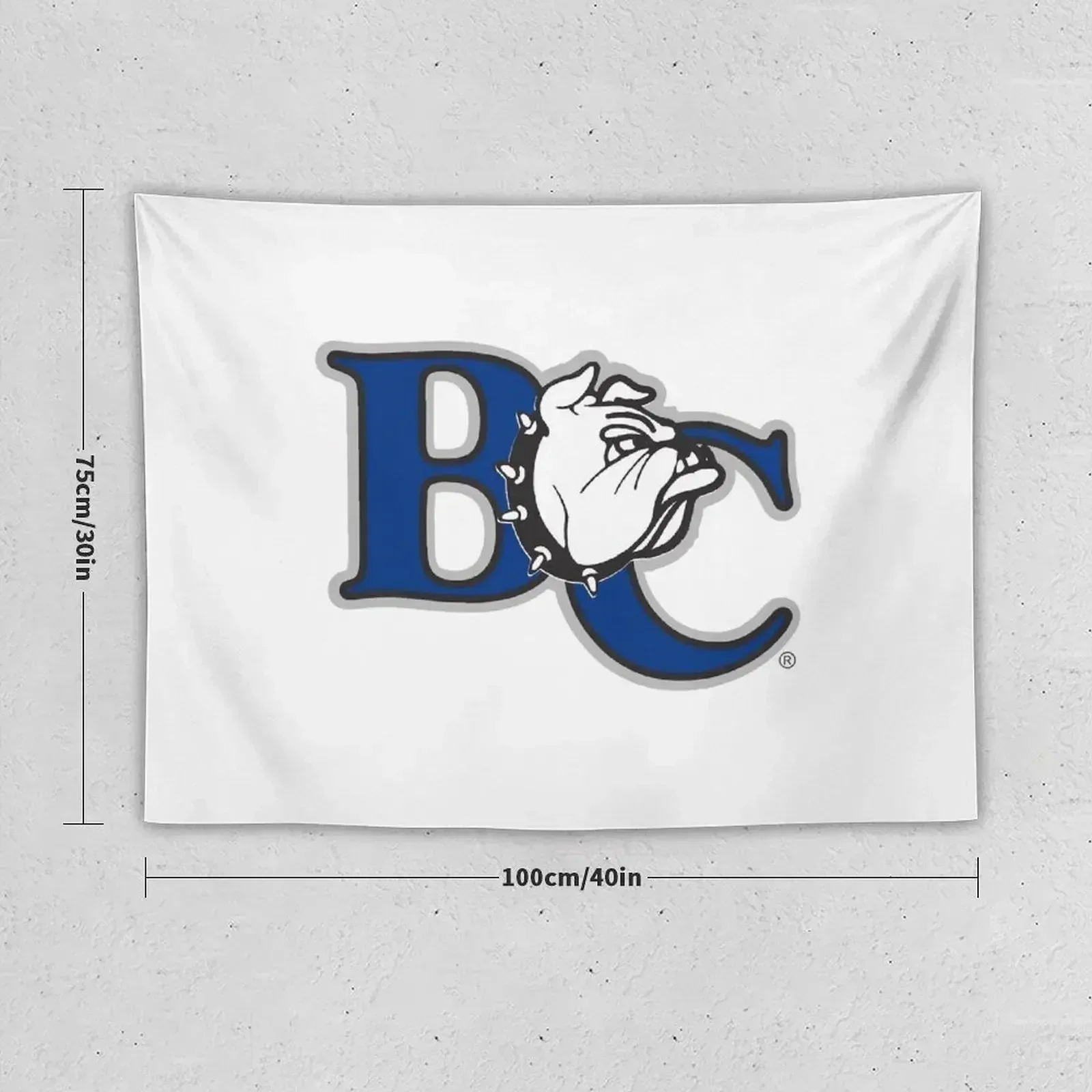 Логотип колледжа Бартона гобелен декор комнаты милые предметы украшения стен