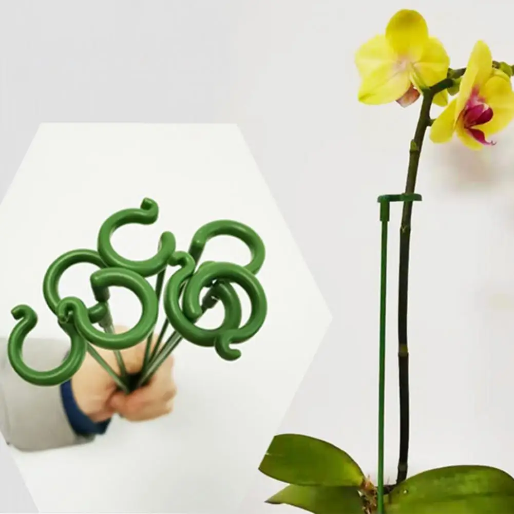 

Portable 10Pcs Excellent Lightweight Potted Plant Support Stick Corrosion-resistant for Home