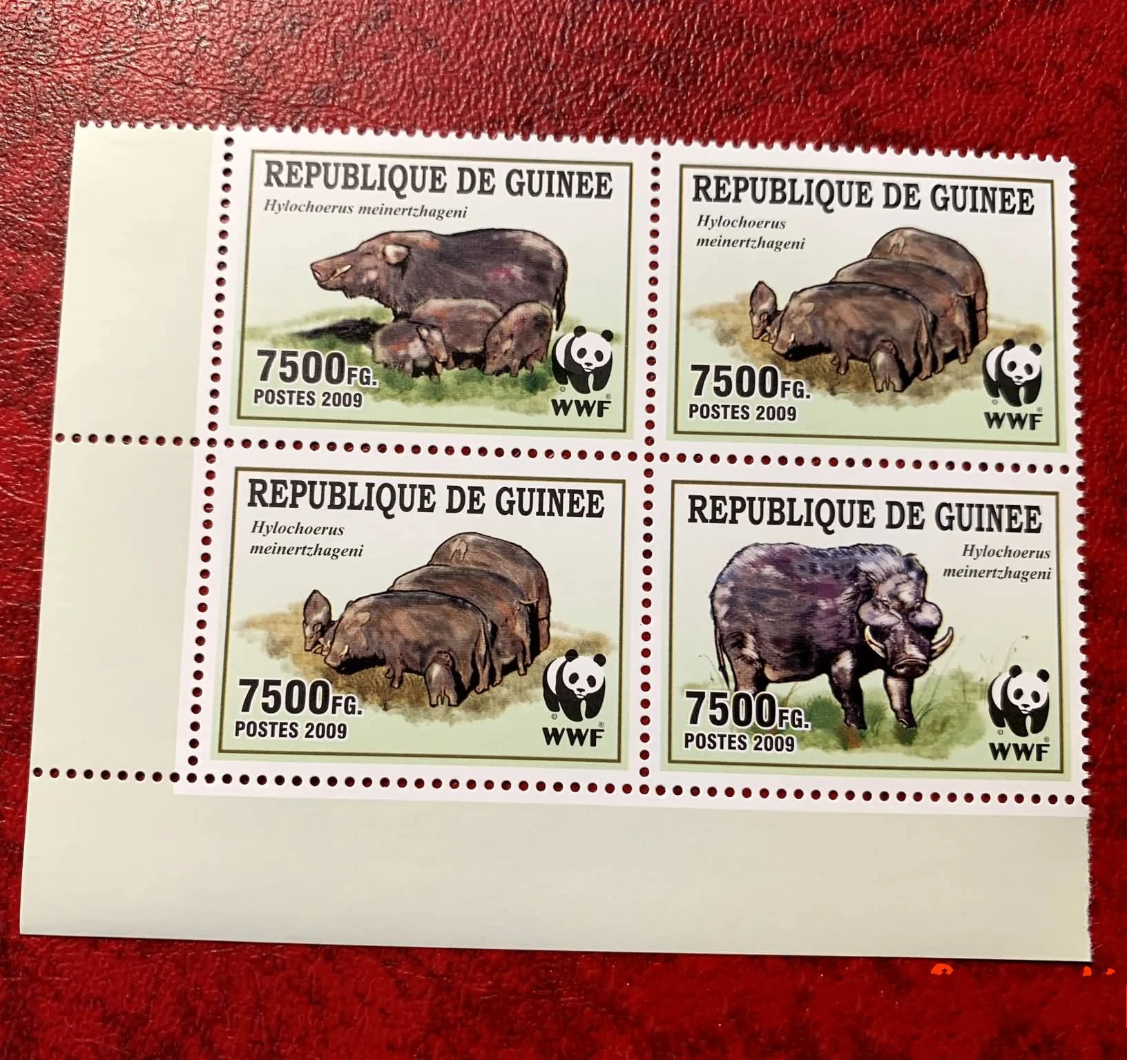 

4Pcs/Set New Guinea Post Stamp 2009 Wild Boar Animal Postage Stamps MNH