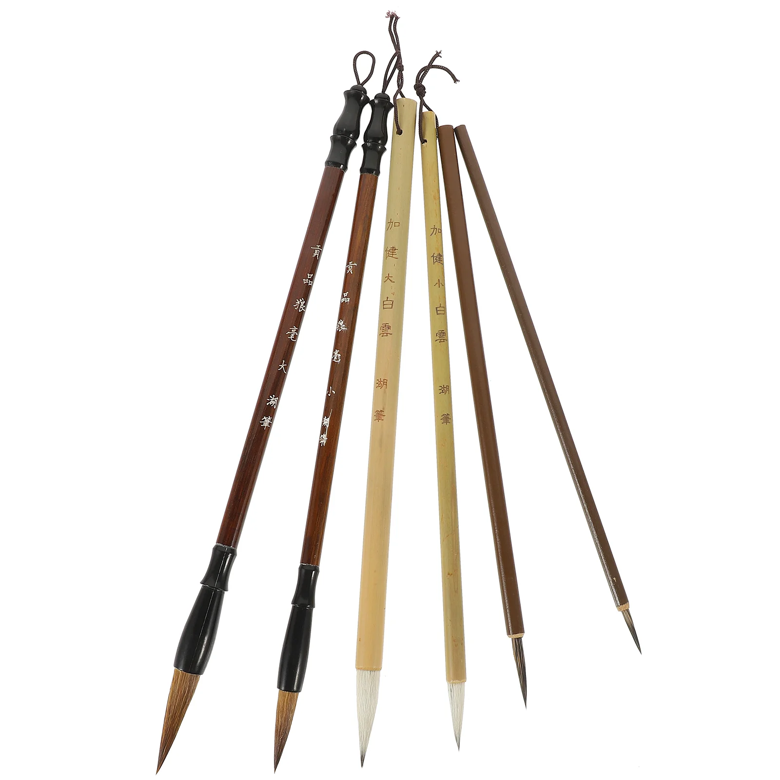 

6Pcs Calligraphy Brush Fine Tip Painting Brushes Chinese Calligraphy Pens Traditional Calligraphy Brush