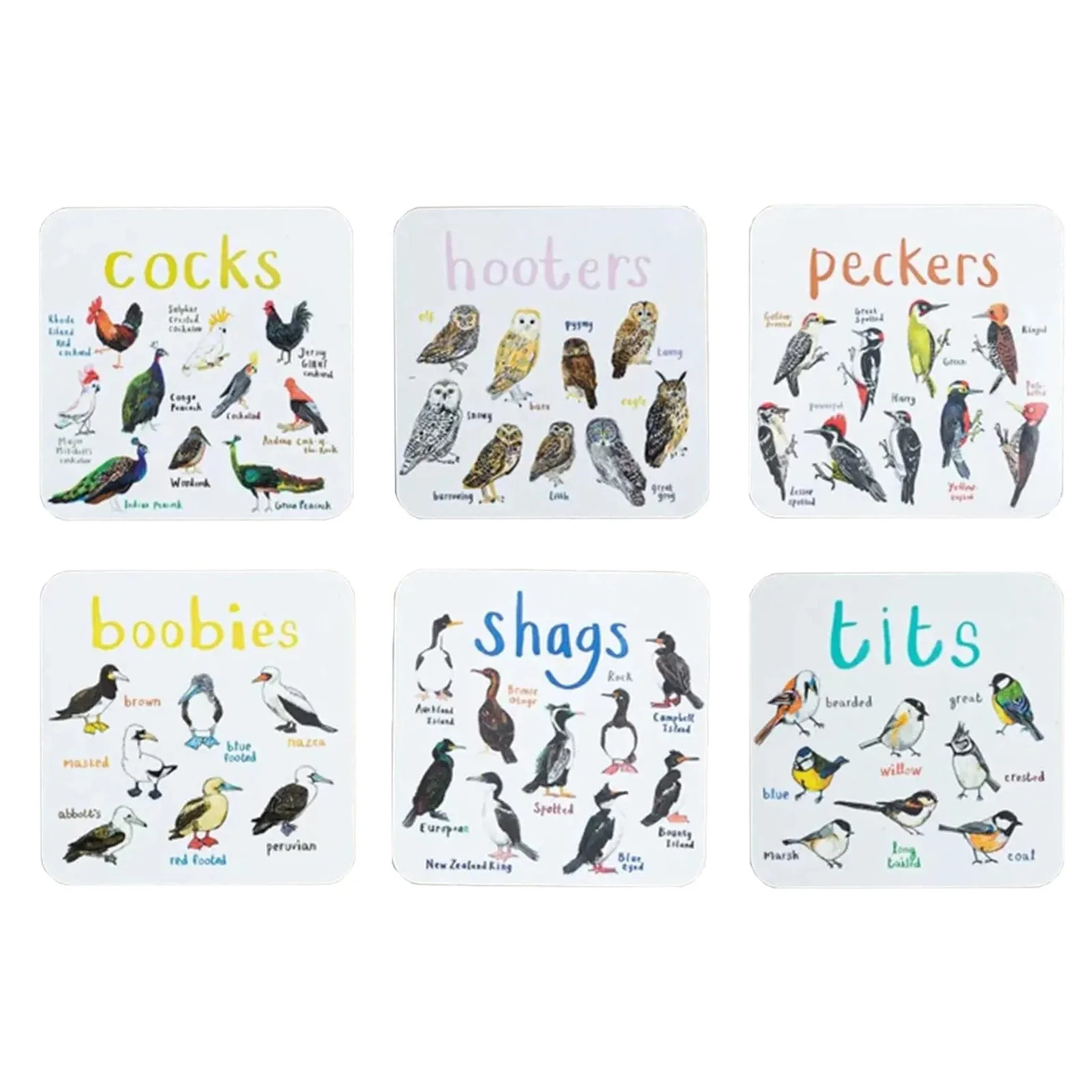 

Set Of 6 Bird Pun Coasters Funny Coasters For Drinks Coaster Set Of 6Pcs Table Top Protection For Bar Housewarming Gift Coffee