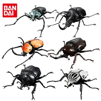 반다이 가샤폰 지구 생명의 다양성 시뮬레이션 거대한 곤충 딱정벌레 04 관절 이동식 애니메이션 액션 피규어 가챠 장난감