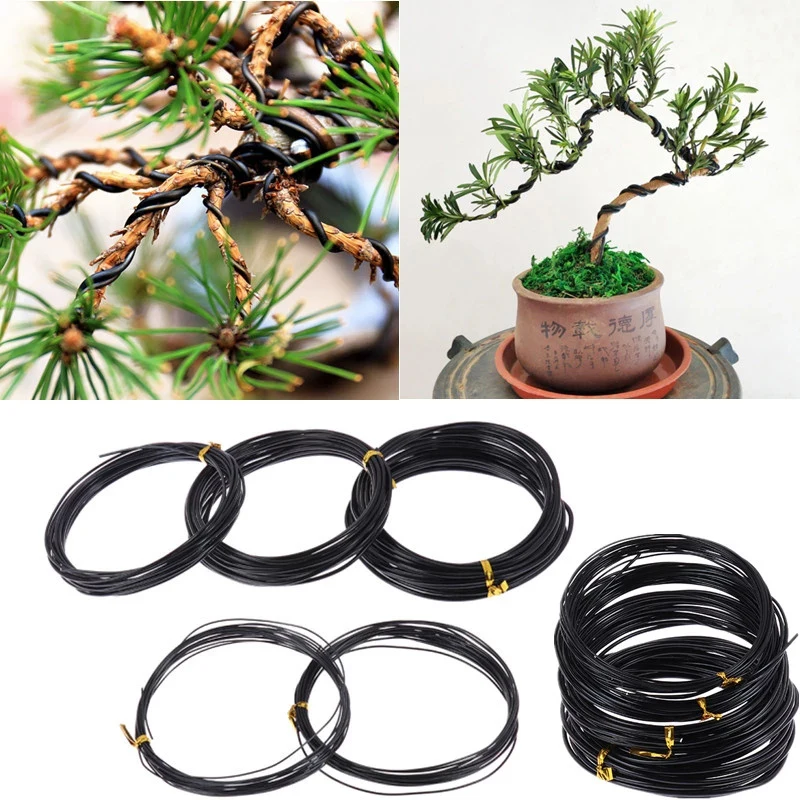 

5m/Lot Black Bonsai Wire Anodized Aluminum Bonsai Training Wire 1.0mm/1.5mm/ 2.0mm/2.5mm/ 3mm/3.5mm For Plant Shapes