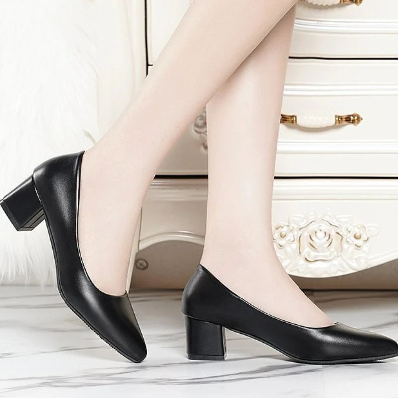 

Woman Single Shoes 2023 Spring New Fashion Pointed Toe Chunky Heel Shoes for Women Dress Office Work Women Low Heel Shoes Pumps