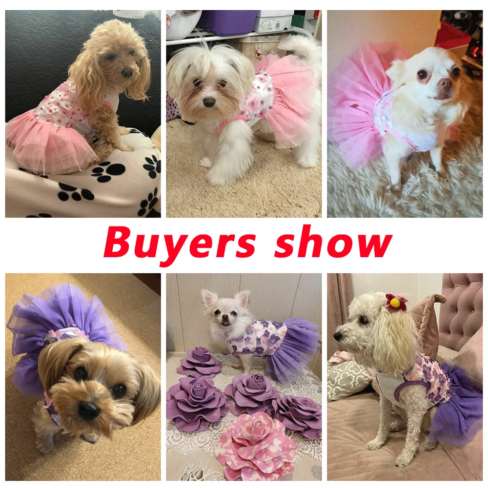 Кружевное шифоновое платье для маленьких собак модное вечеринки дня рождения