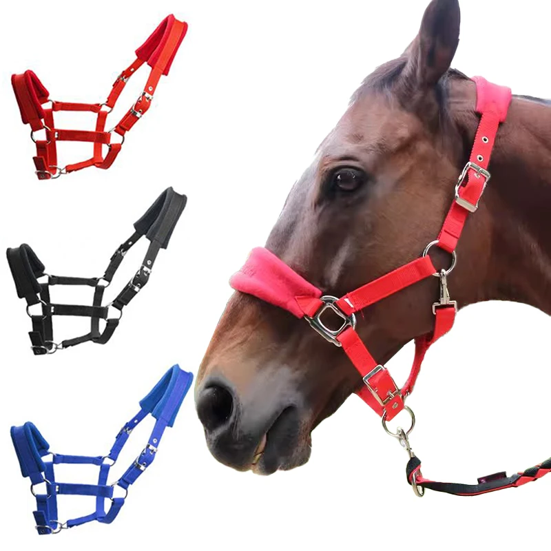 

Soft Padded Pony Horse Halter Bridle Headstall Head Collar Horse Riding Accessories Ergonomic Comfortable Unfettered Halters
