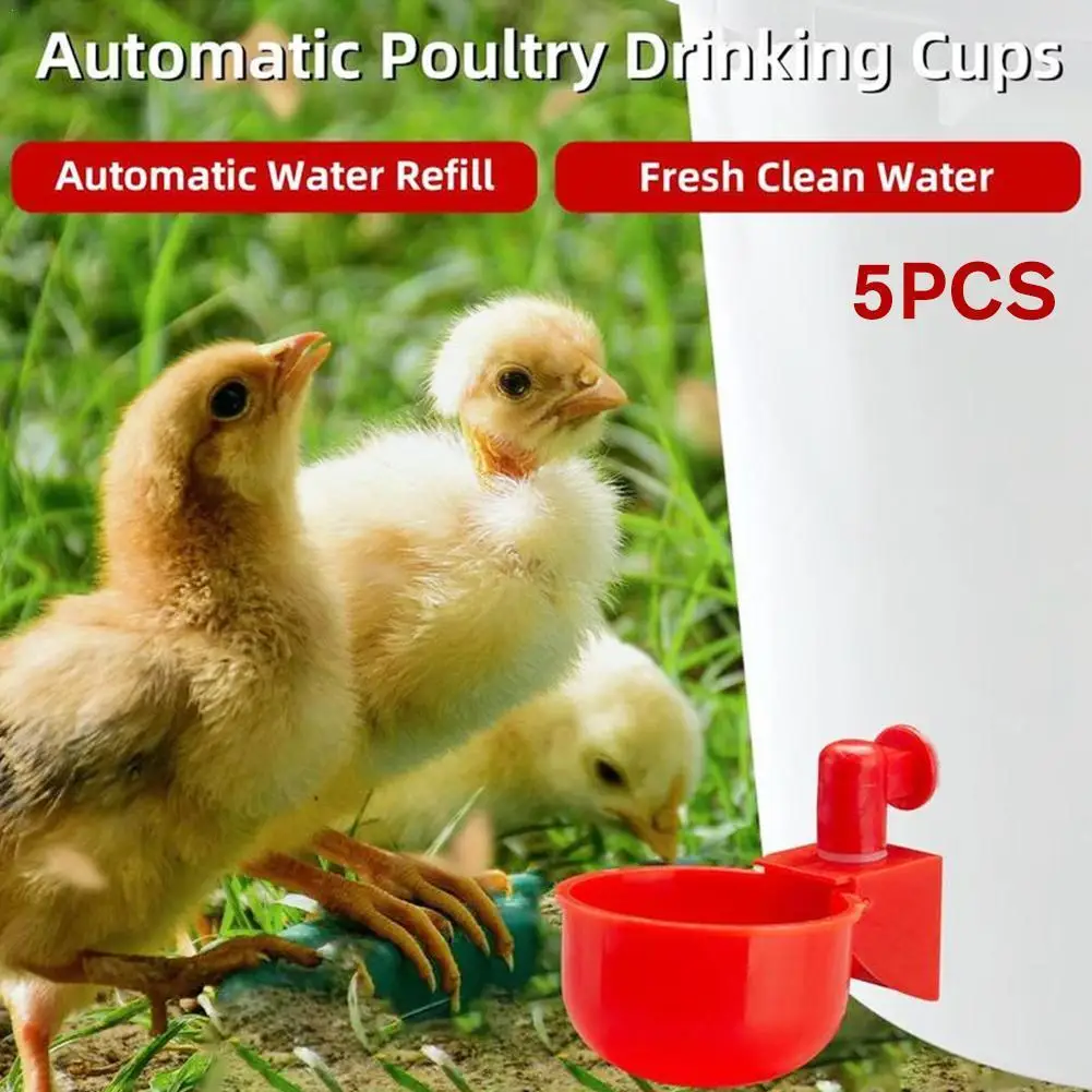 

5pcs Automatic Chicken Watering Cups Plastic Poultry Hanging Cups Drinking Backyards Feeder Cups Poultry Waterer Coop Water V9O5