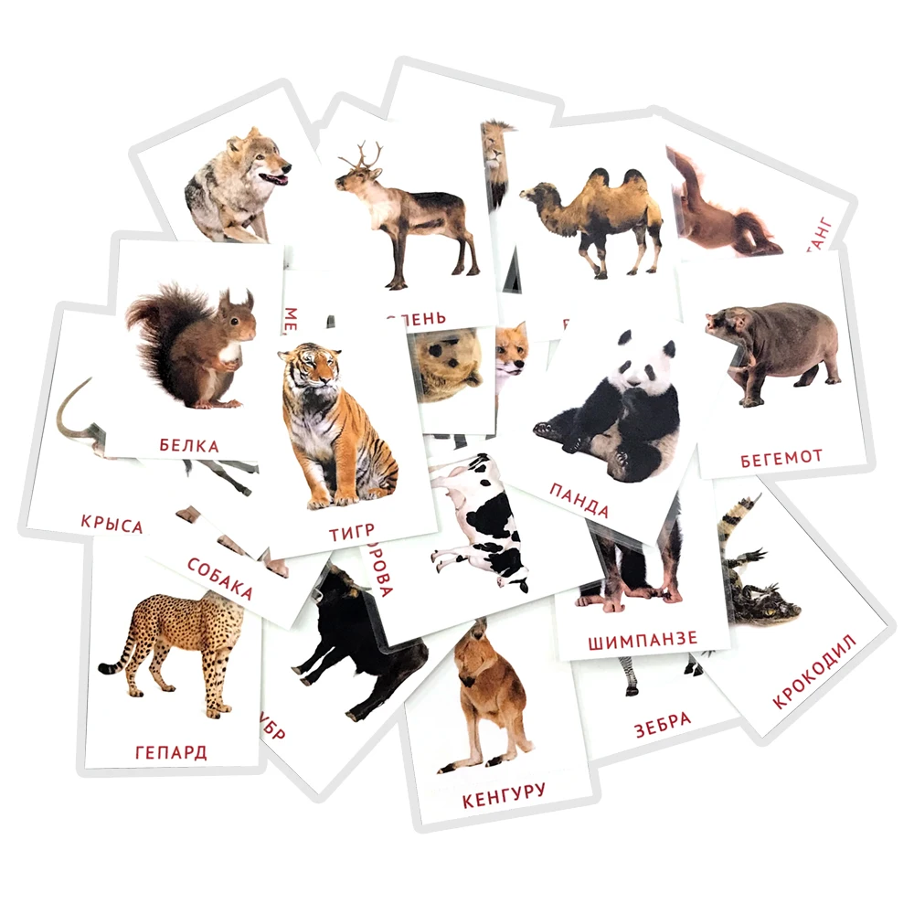 Детские развивающие карточки Монтессори с животными 19 шт. |