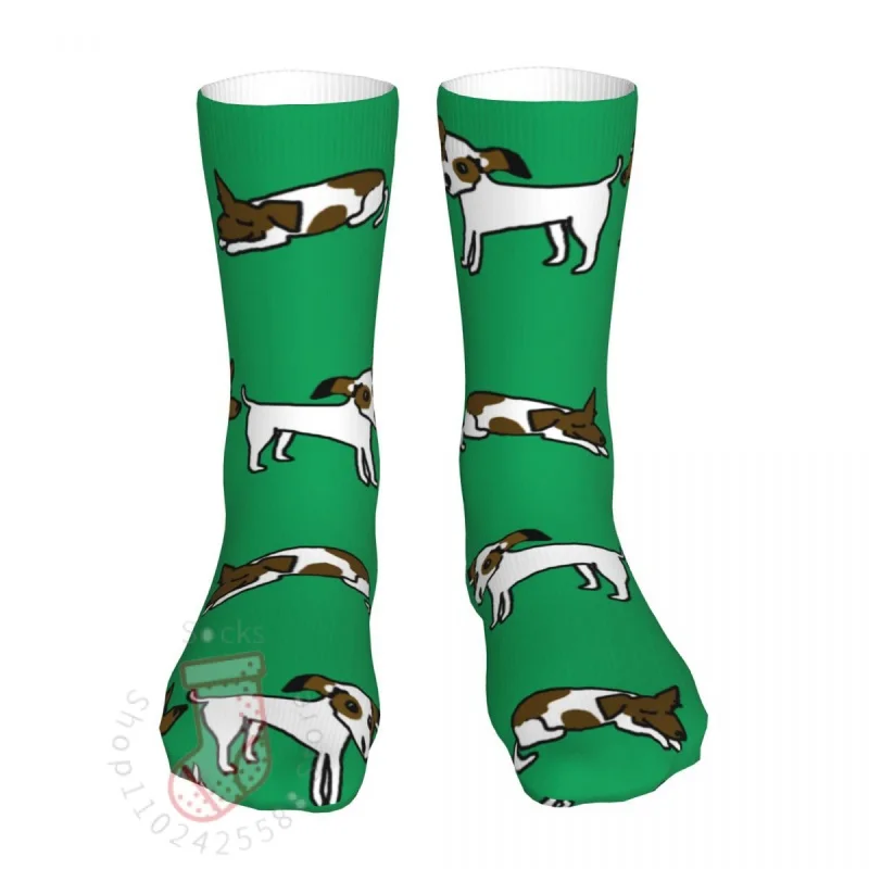 

Funny Green Jack Russell Terrier Women Socks 2022 Men Bike Socks