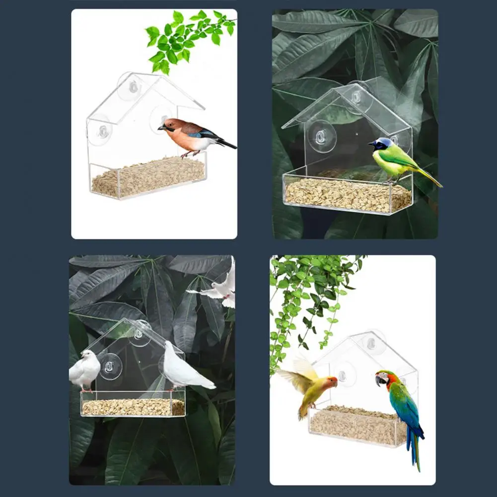 

Practical Bird Cage Suction Cup Design Lightweight Hanging Bird Food Container Reusable Bird Food Dispenser Bird Supplies