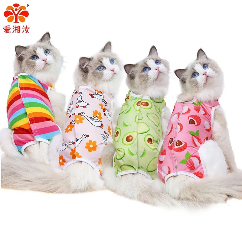 

Dogs Cats Neutered Clothing Post-surgery Fruit Series Four Seasons Pet Clothes Supplies Clothing Cat Clothes Dog Vest Vip Pets