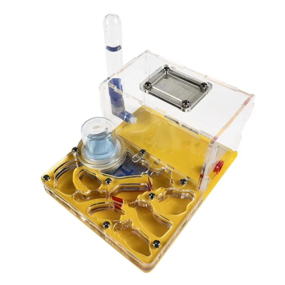 Акриловое гнездо для муравьев заменяет мастерскую муравьи Vivarium студенческая