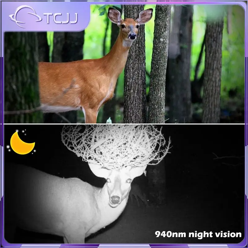 

Камера для наблюдения за дикой природой, камера для наблюдения за дикой природой, камера для наблюдения за дикой природой, фотоловушка, веб-камеры для охоты