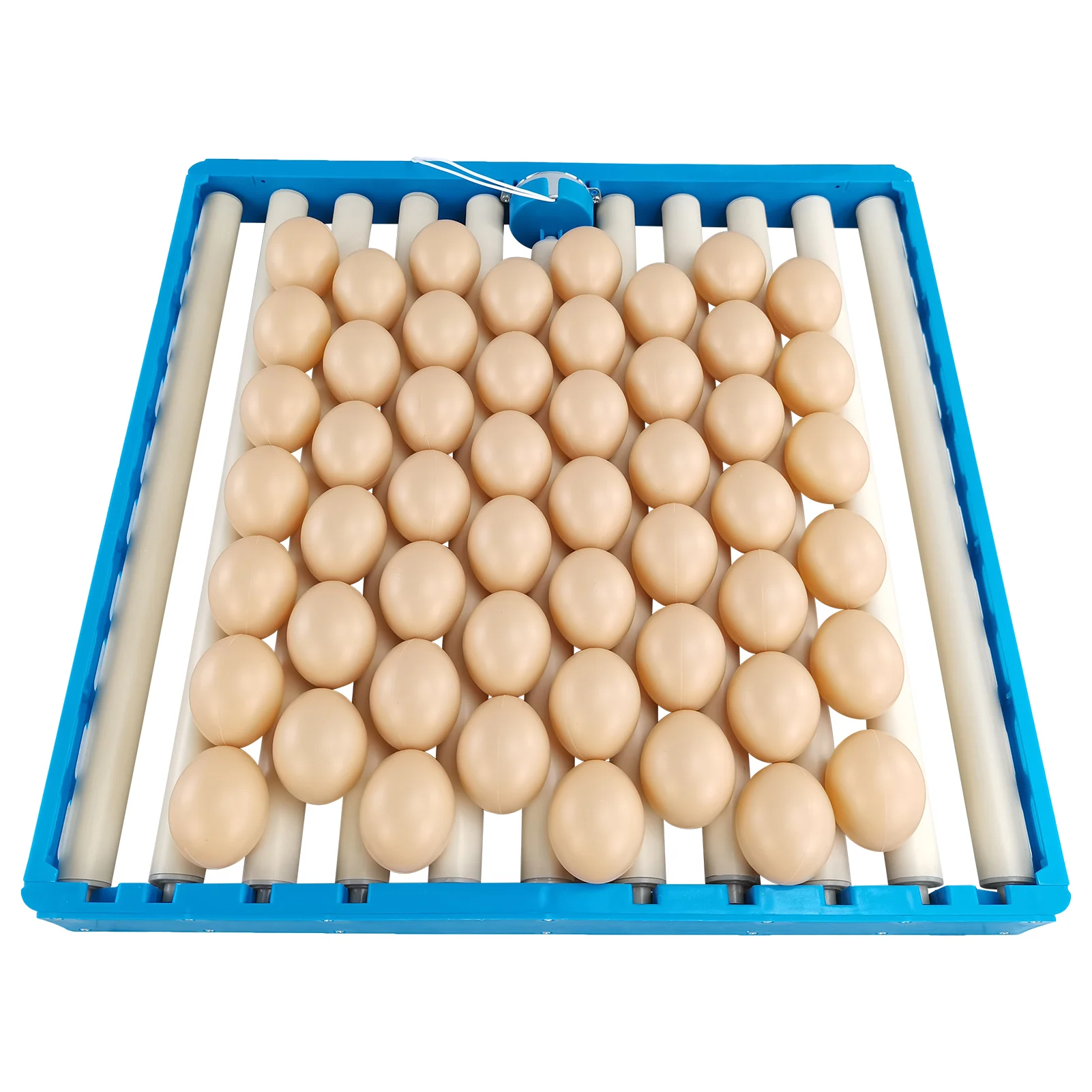 

Incubator Egg Turner Incubator Egg Turner Bird Eggs Hatching Incubator Hatcher Egg Turning Tray Farm Incubation Tool Egg Rack