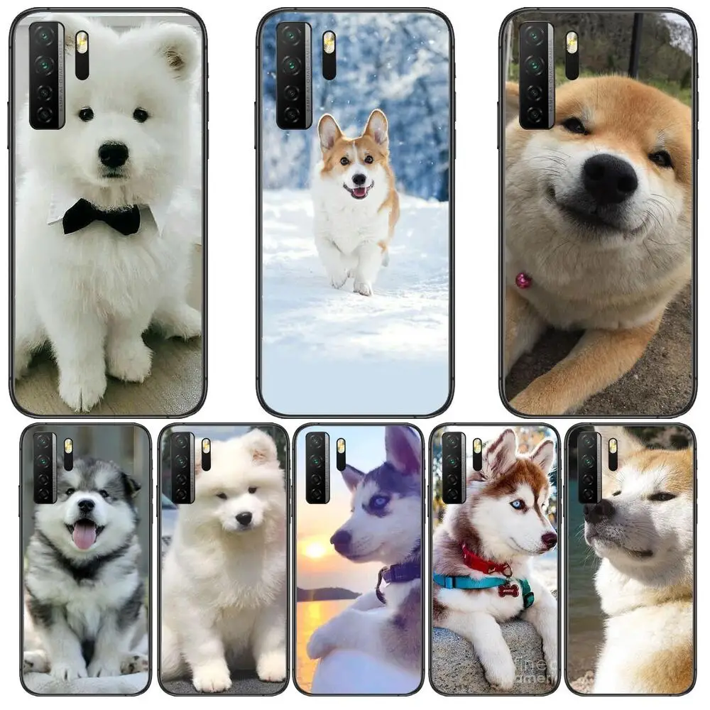 

HD-cute dog dispatched Black Soft Cover The Pooh For Huawei Nova 8 7 6 SE 5T 7i 5i 5Z 5 4 4E 3 3i 3E 2i Pro Phone Case cases