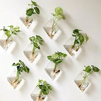creative wall hanging glass vase for hydroponic plants home office decoration gift
