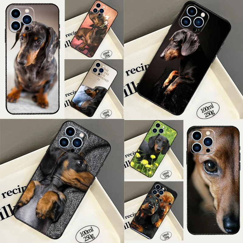 Фото Чехол Teckel Dackel Dachshund Dog для Samsung Galaxy M13 M53 M06 M31 M11 M35 M55 M15 M56 M36 M16 M12 M32 M52 M14 M34 M54 №1