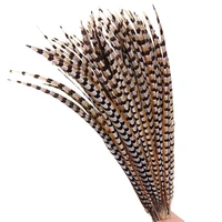 natural lady amherst pheasant feathers for crafts long reeves venery feather carnival party accessories decor plumes decoration