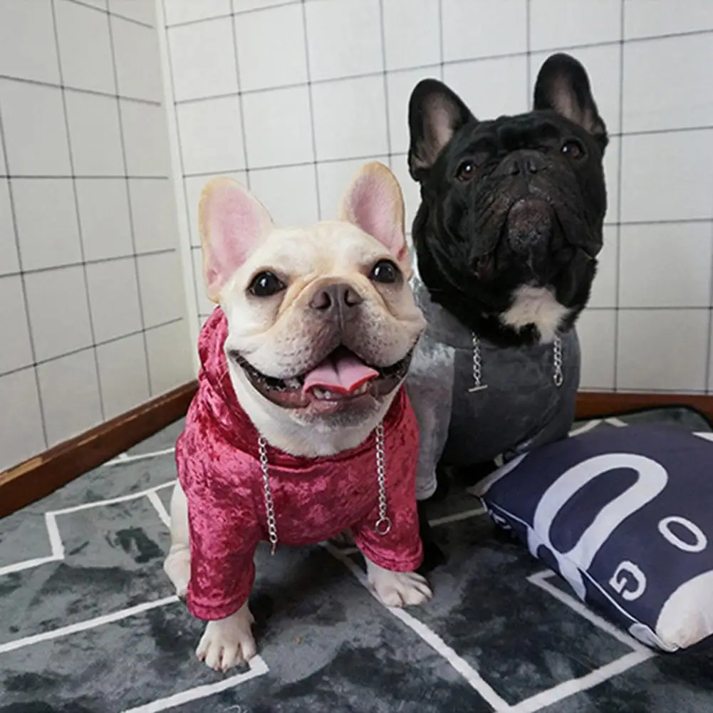 

Dog Hoodie Comfortable Coral Fleece Pet Sweatshirt Fashionable Warm Dog Winter Clothing Pet Supplies