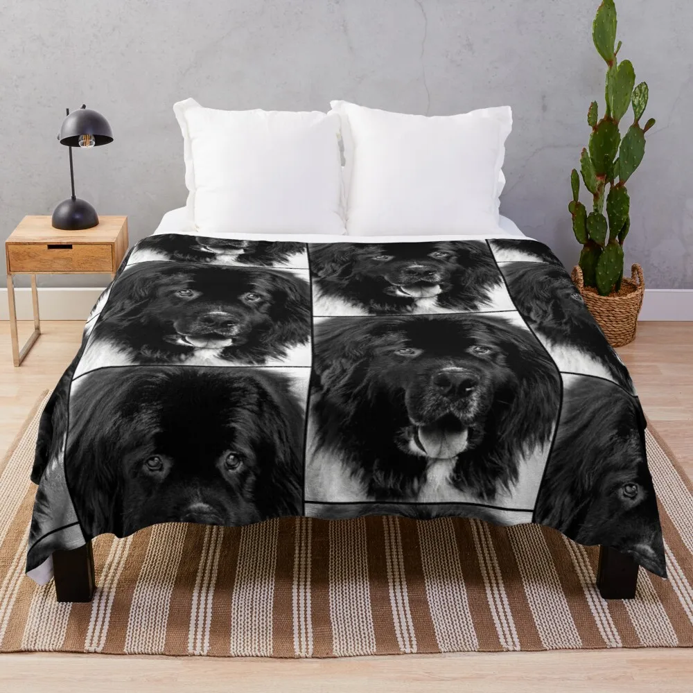 

Newfoundland Dog Portrait in Black and White Throw Blanket Dorm Room Essentials Fluffy Blankets Large