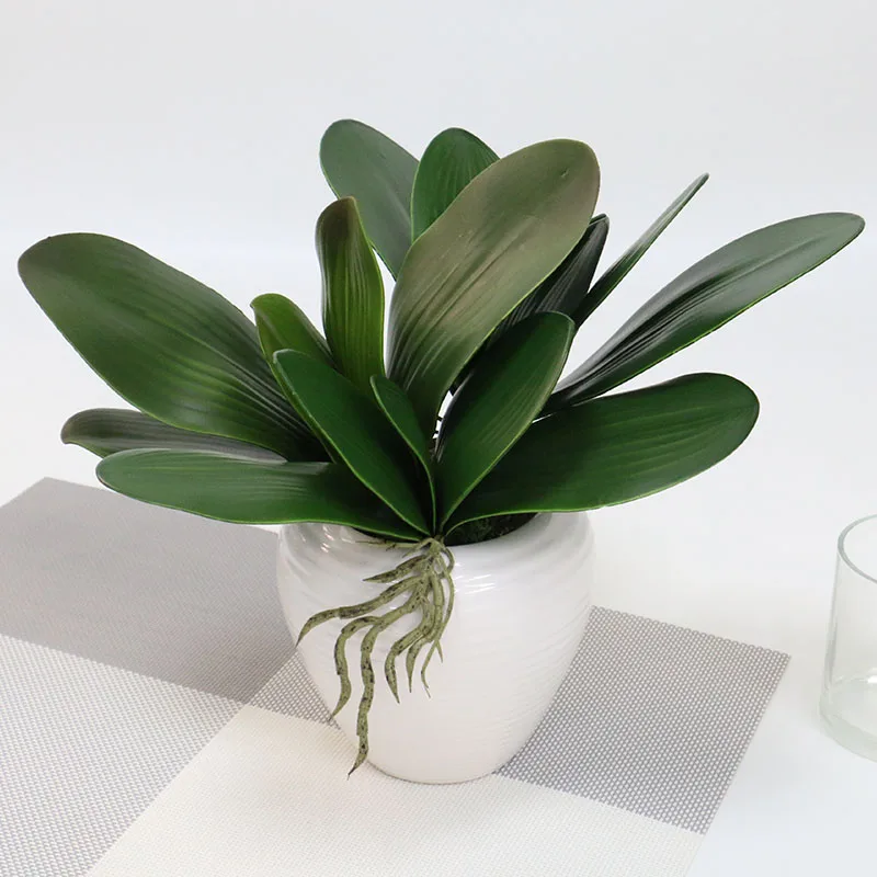 

Simulation Plants Phalaenopsis Leaf Decorative Flowers Auxiliary Material Flower Decoration Orchid Leaves Micro Landscape Decor