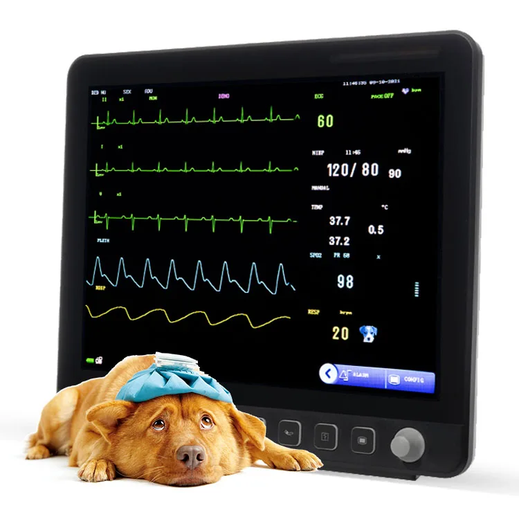 

Yonker ecg blood pressure portable ultrasound scanner machine handheld vital sign animal & veterinary multiparameter monitor