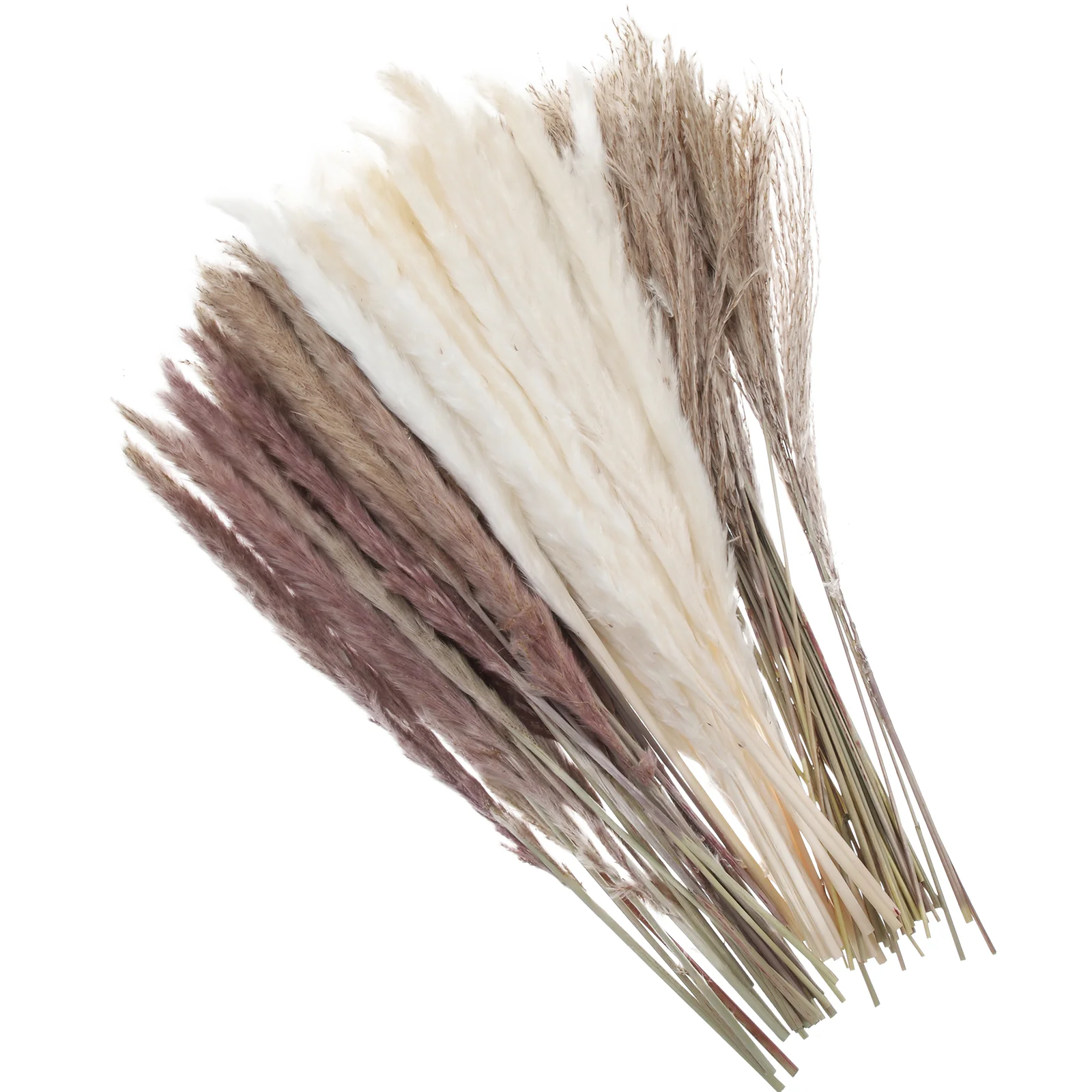 

1 Box Dried Flower Bouquet Dry Grass Pampas Grass Dried Floral Arrangement DIY Dried Reed Grass