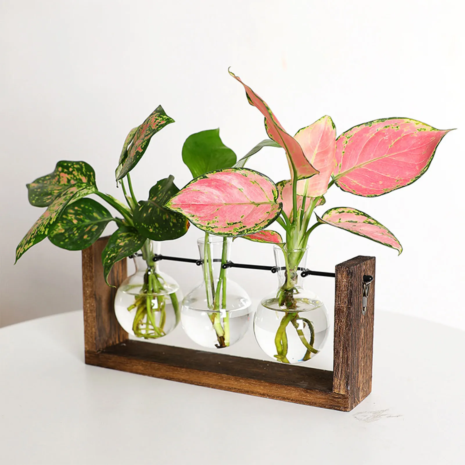 

Plant Terrarium with Wooden Stand Glass Vase Planter Metal Swivel Holder Retro Tabletop Hydroponics Plant Bonsai Home Decoration