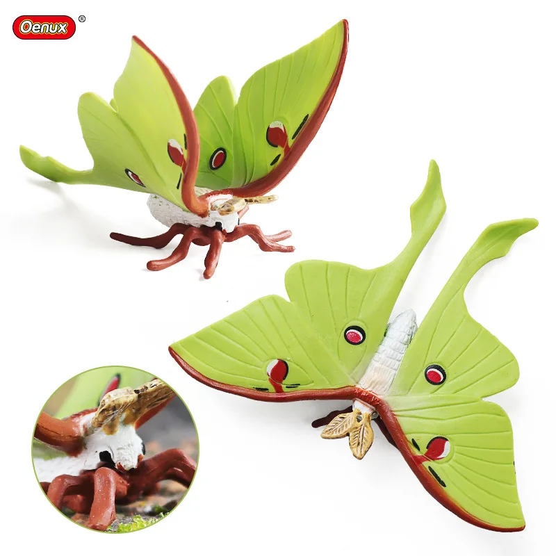 

10CM Simulation insect Animal model Luna moth Samia cynthia Action figures plastic Figurines Farm series Kids Toys
