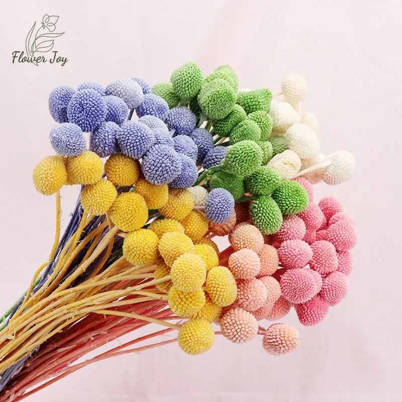 

10/20pcs Natural Dried Flowers Craspedia Billy Golden Balls Bouquet Crafts Wedding Festival Decoration Boho Home Decor Vase DIY