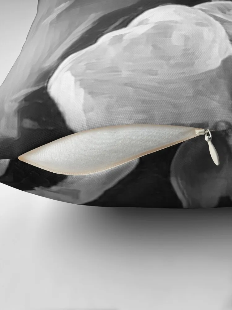 4 диванные подушки Knebworth для домашнего декора