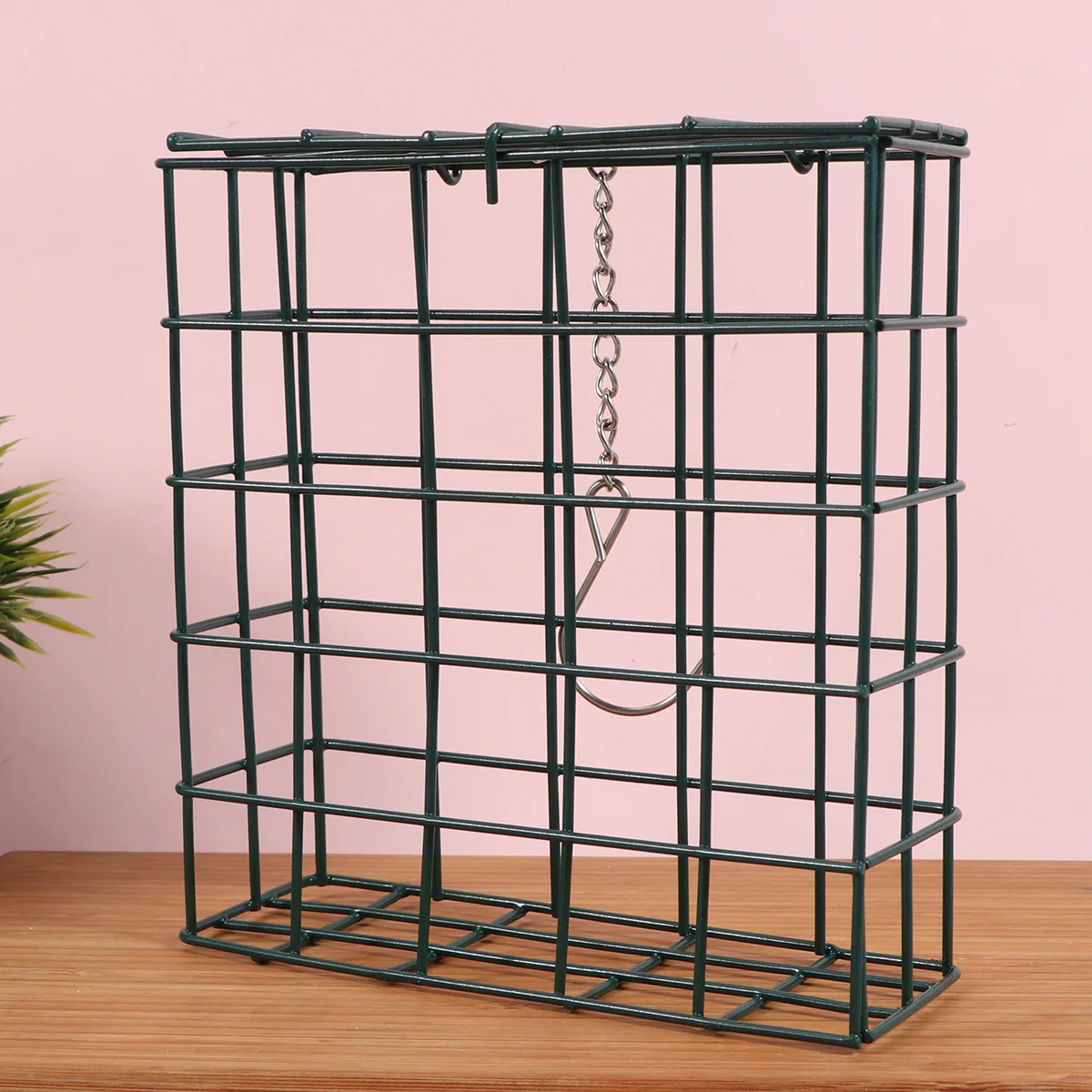 Hanging Bird Feeder Hummingbird Outdoor Agapornis Accessories Station Feeders Squirrel