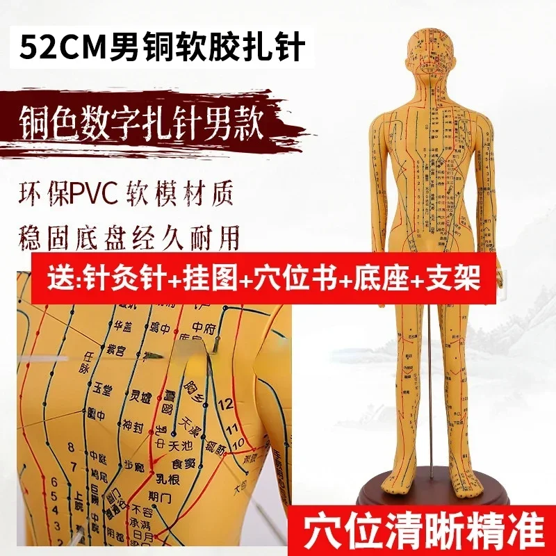 Модель человеческих акупунктурных точек и меридианов из двух бронзовых фигурок