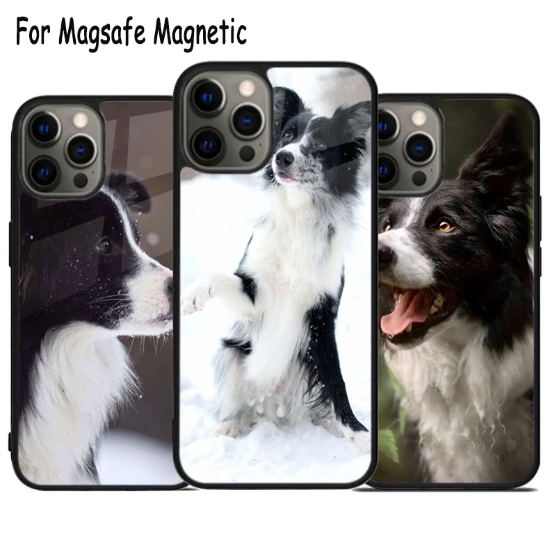 Чехол Magsafe для телефона собак 1 Border Collie с беспроводной зарядкой iPhone 15 16 14 13 11 12 Pro Max