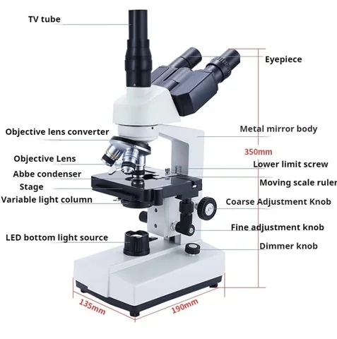 Лабораторный биологический микроскоп WEIAI, оптический электронный микроскоп 5000X, 4X/10X/40X/100X, научный экспериментальный биологический микроскоп