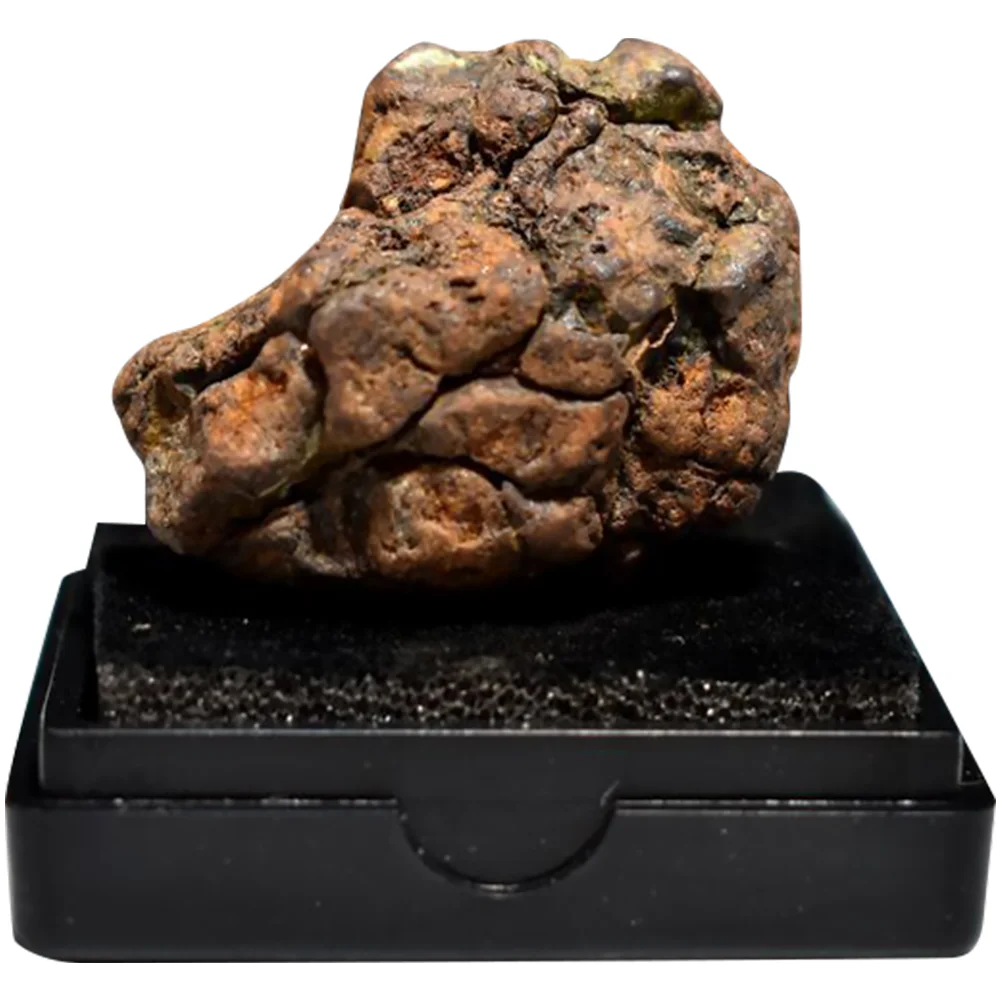 

Olive Meteorite Children Toys Teaching Specimen Kids Playset Space Table Adornment Fossil Decor Lithosiderite Model Top