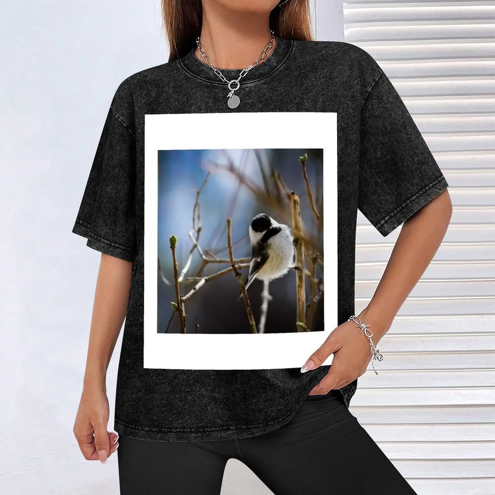 Мужская футболка Black Capped Chickadee on a Branch хлопковая