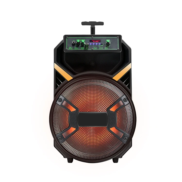 

Professional 15 inch trolley wireless MIC Audio with USB /TF /FM Radio speaker