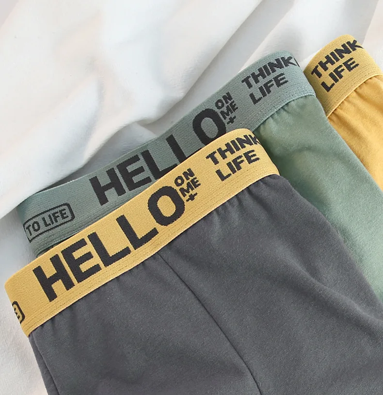 Boxer Men's Underwear Men Panties Cotton Boxers Sexy Man Breathable BoxerShorts Male Comfortable Underpants L-4XL