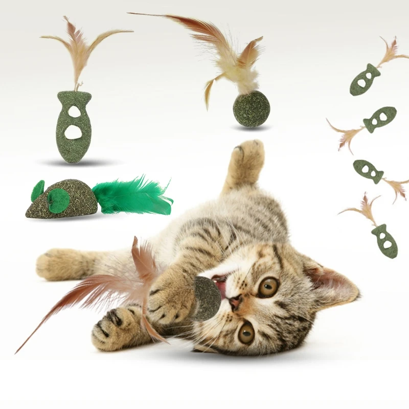 

Catnip Balls for Cat Treat Remove Hair Inside of Kittens Licks Ball Toy