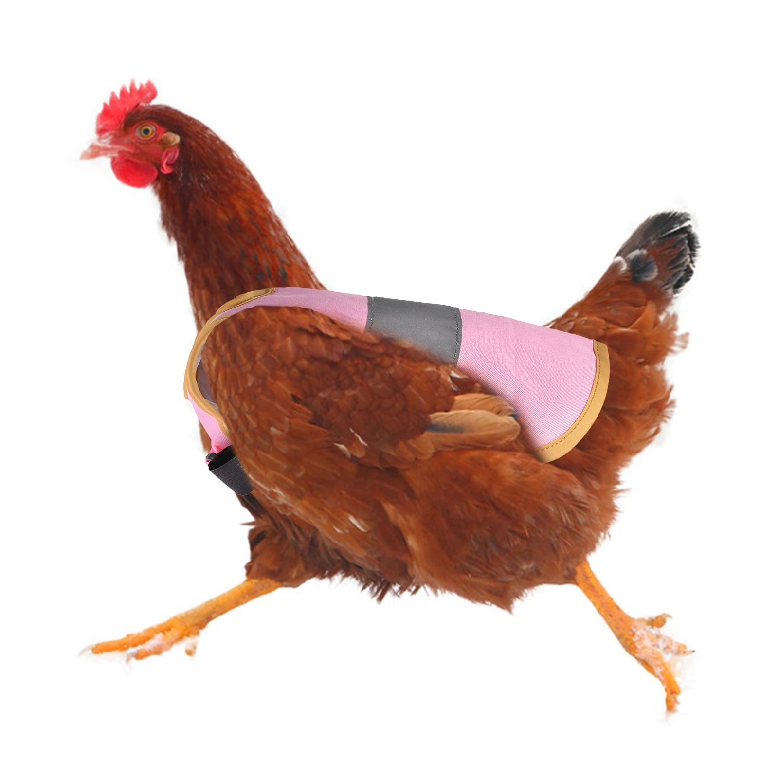 

Chicken Saddle For Hens Poultry Apron With Elastic Strap Poultry Care Supplies For Standard Size Chicken Poultry
