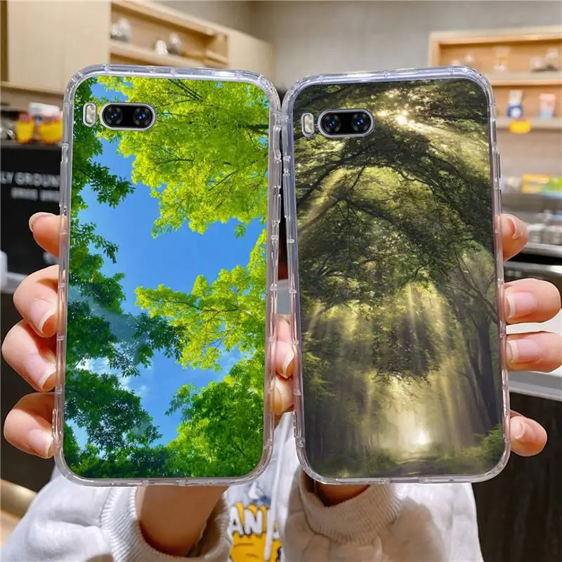 

Trees And Nature Phone Case For Huawei Mate P10 P20 P30 P40 P50 Smart Z Honor 50 60 70 Pro Lite Transparent Case
