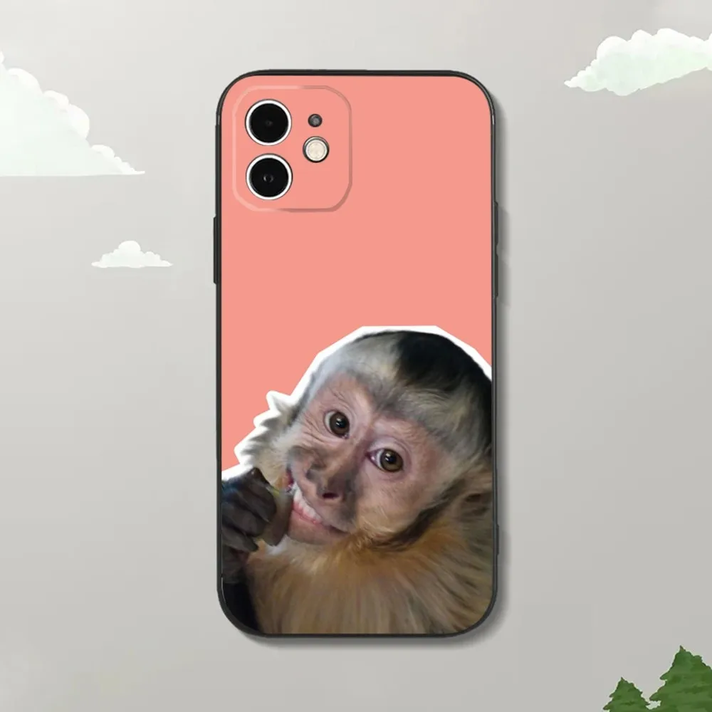 Силиконовый чехол для iPhone16 15 14 13 12 Mini 11 Pro XR X XS MAX 7 8 Plus