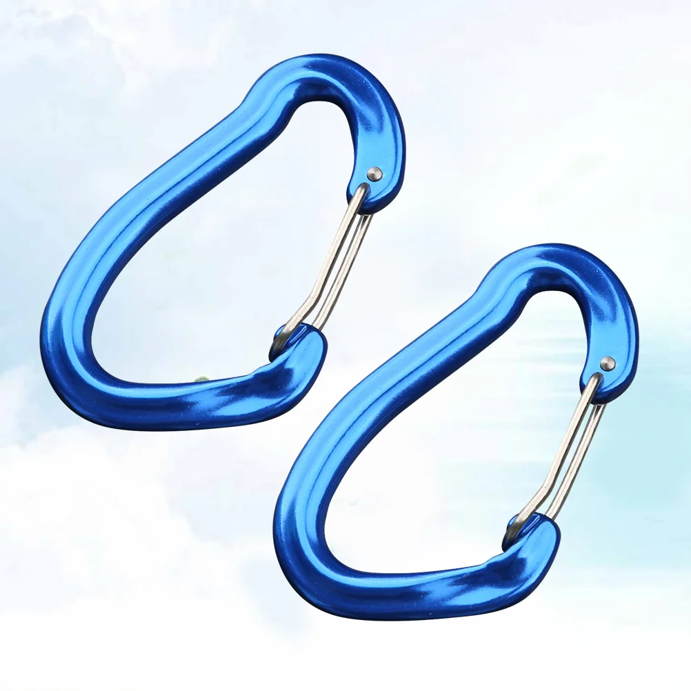 

2 Pcs Carabiner Clip Prime Sturdy Carabiner Clip for Hiking