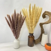 pampas grass flower bunch dekoration small reed natural dried phragmites artificial plants wedding decoration plants home
