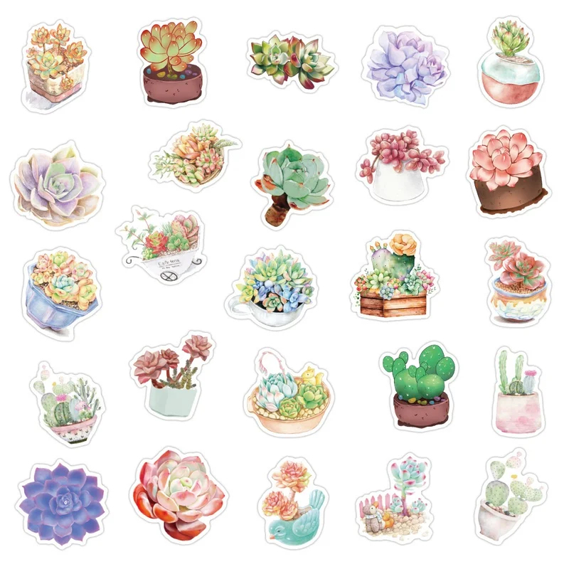 

50 Pack Succulent Skateboard Motorcycle Guitar Luggage Laptop Bike Sticker Kids Toys Sticker Pack