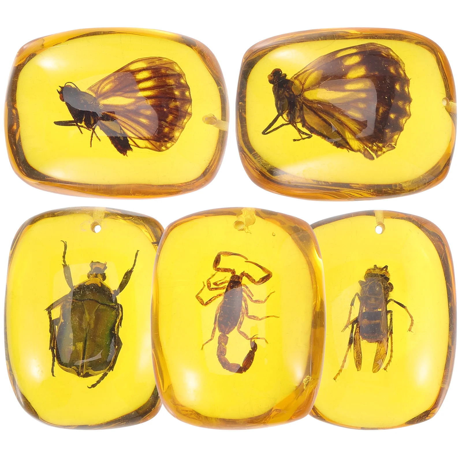 

Amber Specimen Pendants Pendant Fossil Specimens Resin Insects Necklace Crystal Diy Fossils Earringteething Charmswith Bracelet