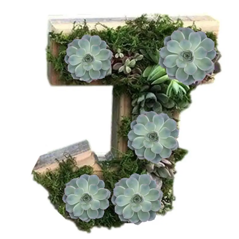 

Air Plant Holders Unique Small Letter Pots For Succulent Succulent Planter Pots Wooden Plant Container Mini Flower Cactus Pot