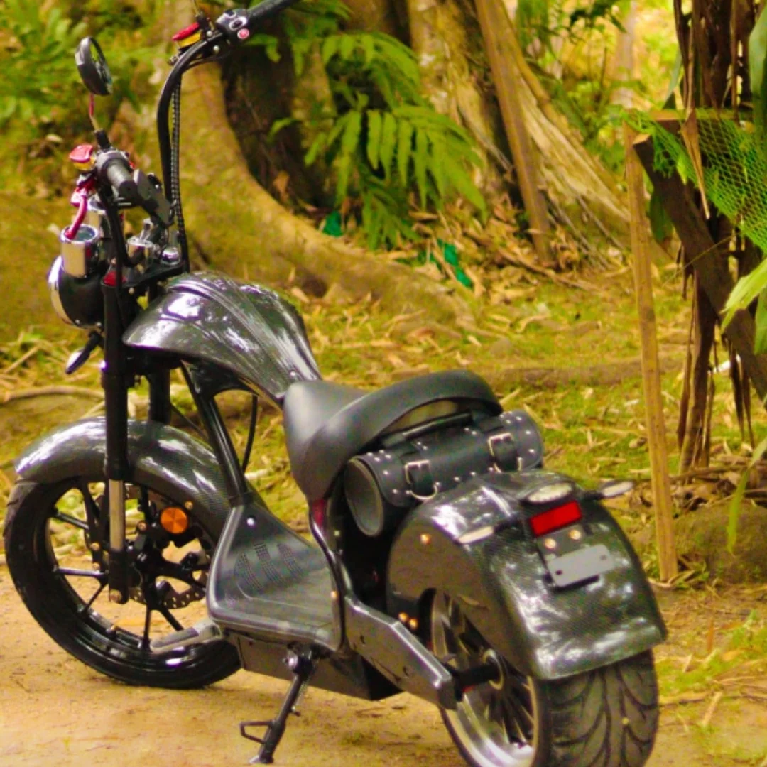 US DOT MCO 4000 Вт электрические городские Электровелосипеды Citycoco мотоциклы для