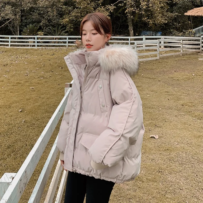 2024 Autumn and Winter New Western Sle Down Cotton Clothes BF Internet Celebri Ins Hong Kong Thickening ... |